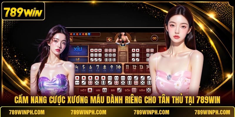 Cẩm nang cược xương máu dành riêng cho tân thủ tại 789WIN