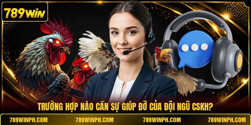 Trường hợp nào cần sự giúp đỡ của đội ngũ CSKH?